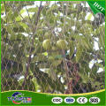 plastic mist anti bird net to capture birds